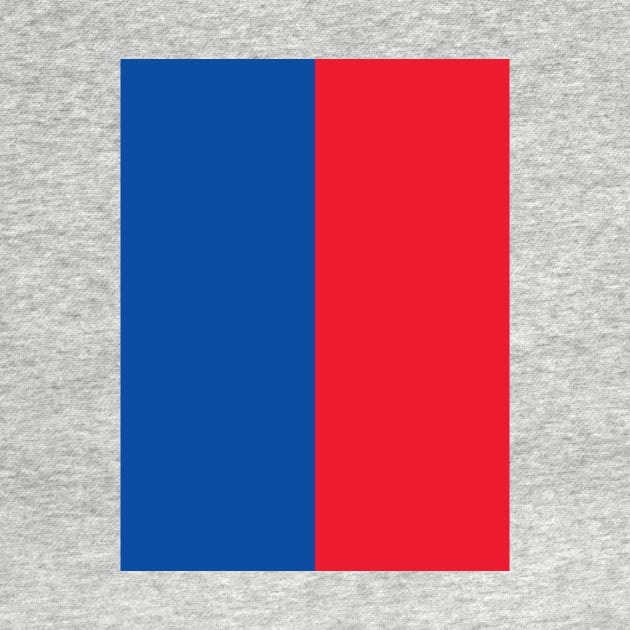 Basel FCB Blue and Red Halves by Culture-Factory